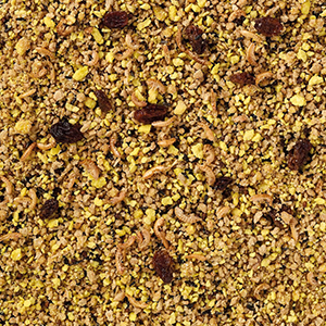 Eggfood large parakeets and parrots moist 800g